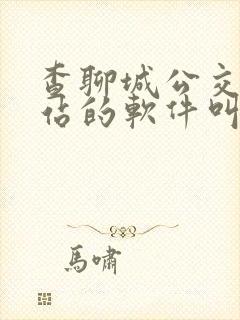 查聊城公交车到站的软件叫什么