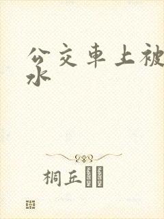 公交车上被蹭出水