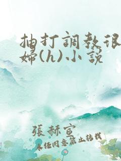 抽打调教很虐贱妇(h)小说