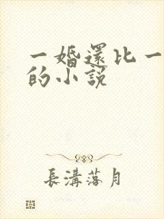 一婚还比一婚高的小说