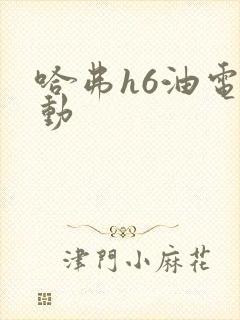 哈弗h6油电混动