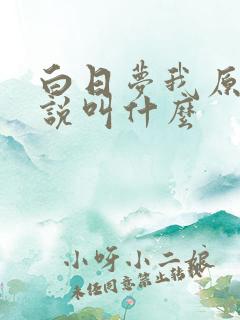 白日梦我原著小说叫什么