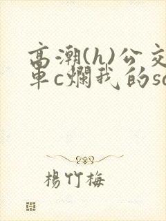 高潮(h)公交车c烂我的sao