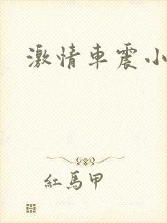 激情车震小说
