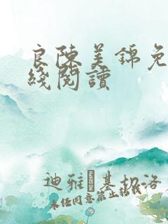 良陈美锦免费在线阅读
