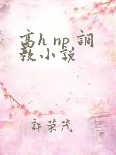 高h np 调教小说