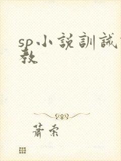 sp小说训诫调教
