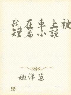 我在车上被强插短篇小说