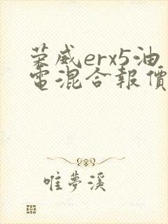 荣威erx5油电混合报价