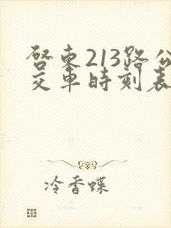 启东213路公交车时刻表查询