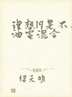 理想l9是不是油电混合