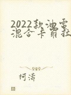 2022款油电混合卡罗拉车型