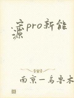 .宋pro新能源