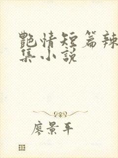 艳情短篇辣文合集小说
