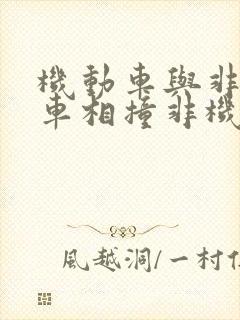 机动车与非机动车相撞非机动车全责