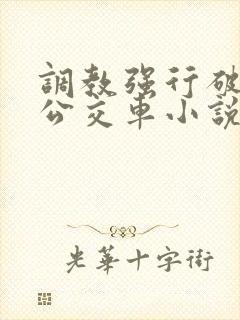 调教强行破苞h公交车小说