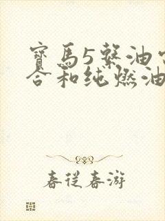 宝马5系油电混合和纯燃油哪个好