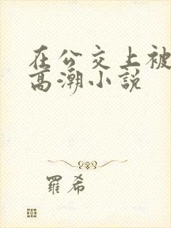 在公交上被c到高潮小说