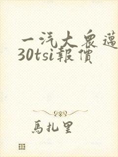 一汽大众迈腾330tsi报价