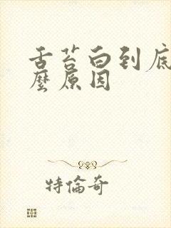 舌苔白到底是什么原因