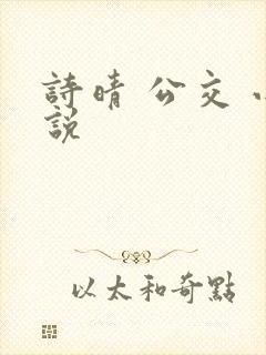 诗晴 公交 小说