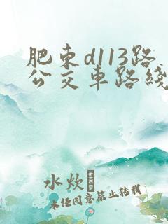 肥东d113路公交车路线时间表