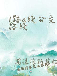 1路a线公交车路线