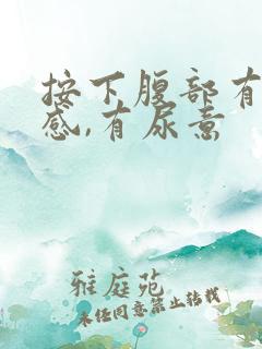 按下腹部有疼痛感,有尿意