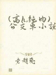 (高h,纯肉)公交车小说