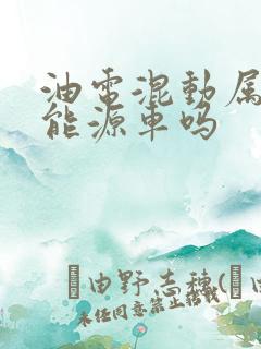 油电混动属于新能源车吗