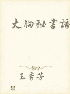 大胸秘书诱惑