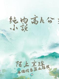 纯肉高h公交车小说
