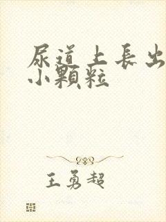 尿道上长出一些小颗粒