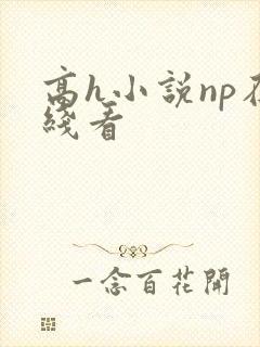 高h小说np在线看