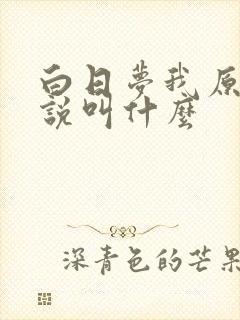 白日梦我原著小说叫什么