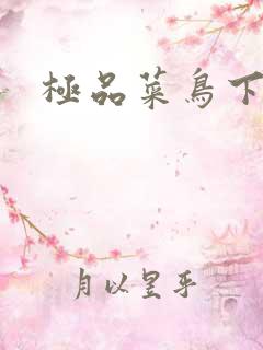 极品菜鸟下载