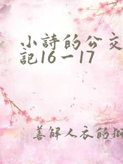 小诗的公交车日记16一17