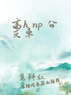 高h np 公交车