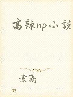 高辣np小说h