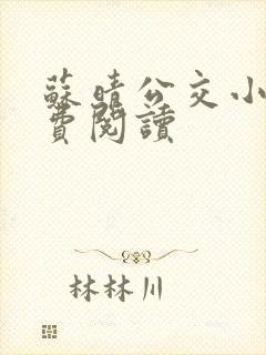 苏晴公交小说免费阅读