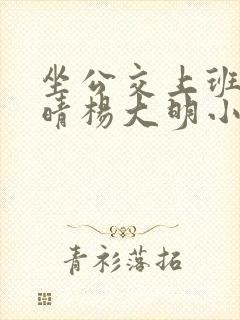 坐公交上班的苏晴杨大明小说