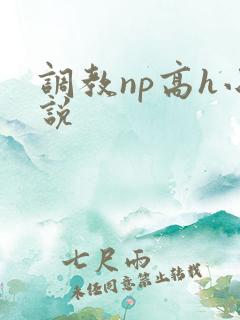 调教np高h小说