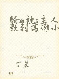 骚m被s主人调教到高潮小说