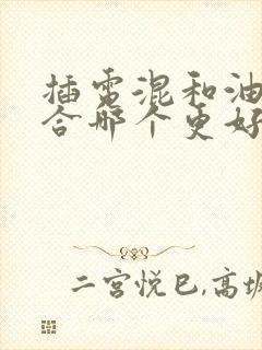 插电混和油电混合哪个更好