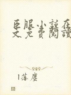 臣服小说在线全文免费阅读笔趣阁无弹窗