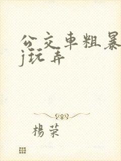 公交车粗暴h强j玩弄