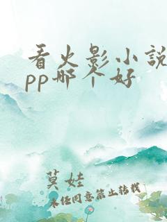 看火影小说的app哪个好
