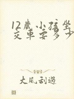 12岁小孩坐公交车要多少钱
