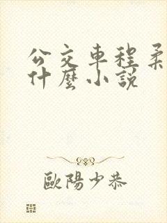 公交车程柔雪是什么小说