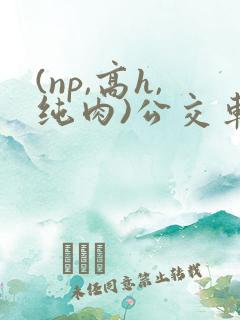(np,高h,纯肉)公交车